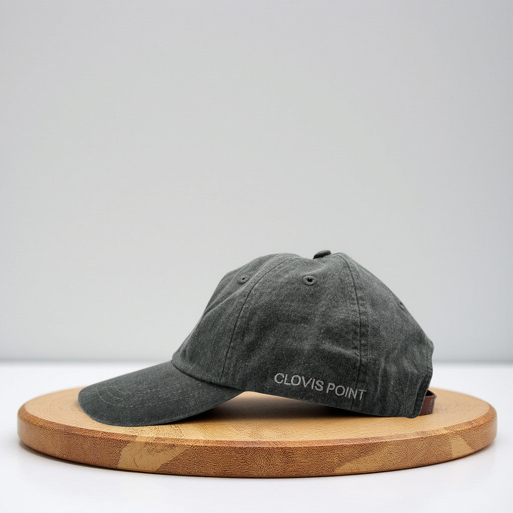 Clovis Point Baseball Hat - Stone